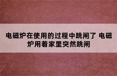 电磁炉在使用的过程中跳闸了 电磁炉用着家里突然跳闸